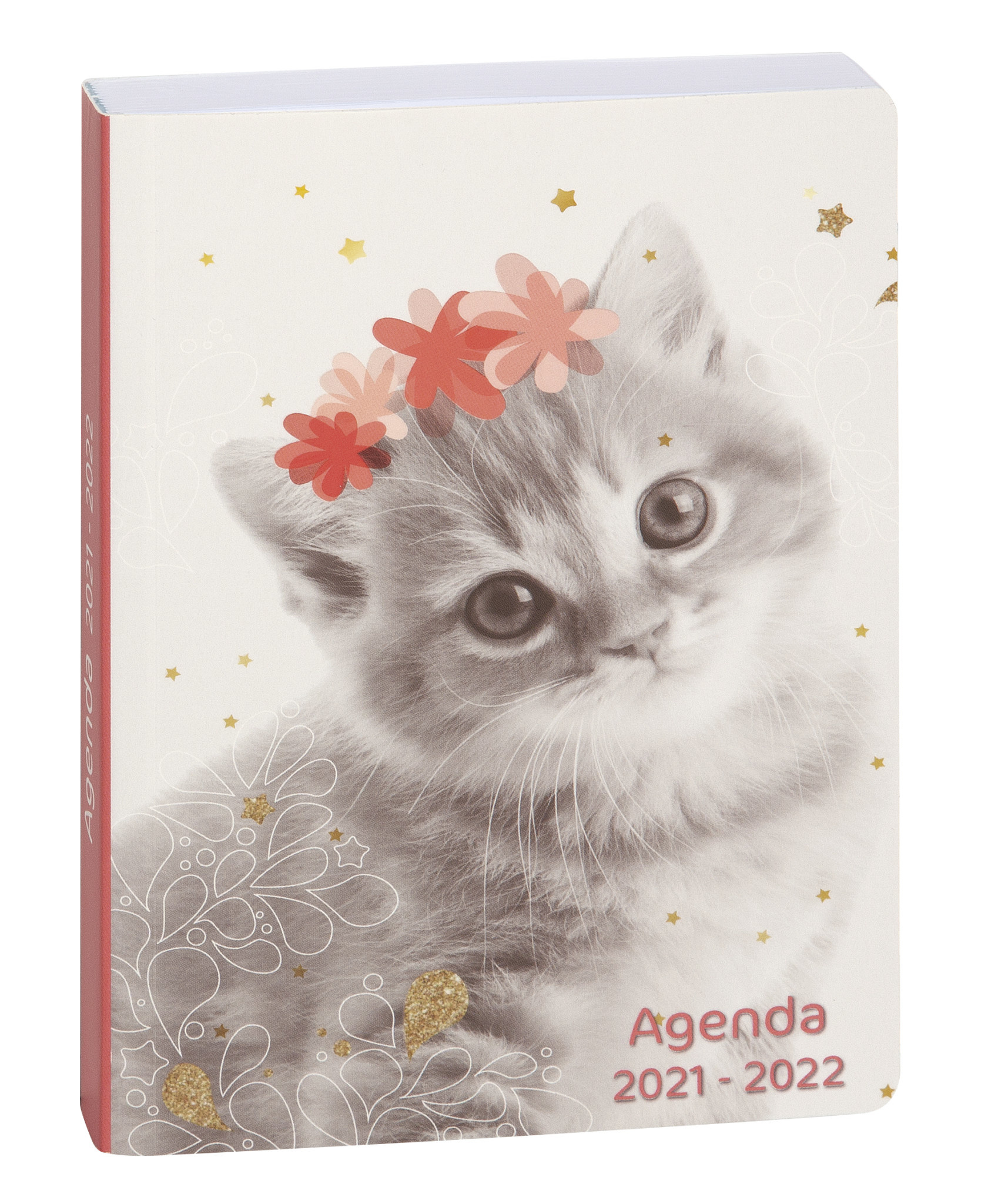 Agenda Scolaire 1 Jour Par Page Forum Lovely 1x170 Chat Fleur Papeterie Michel Agenda Scolaire 1 Jour Par Page Forum Lovely 1x170 Chat Fleur Papeterie Michel