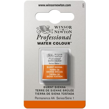 WINSOR & NEWTON Professional Aquarelle 1/2 Godet 074 Terre Sienne Brulee