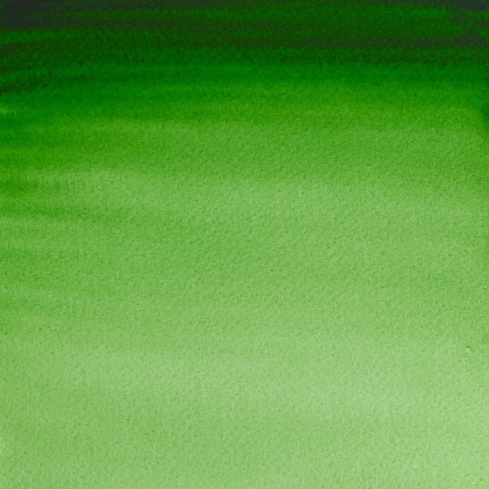 WINSOR & NEWTON Professional Aquarelle 1/2 Godet 311 Vert de Hooker