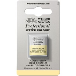 WINSOR & NEWTON Pro Watercolour 1/2G 422 Jaune De Naples