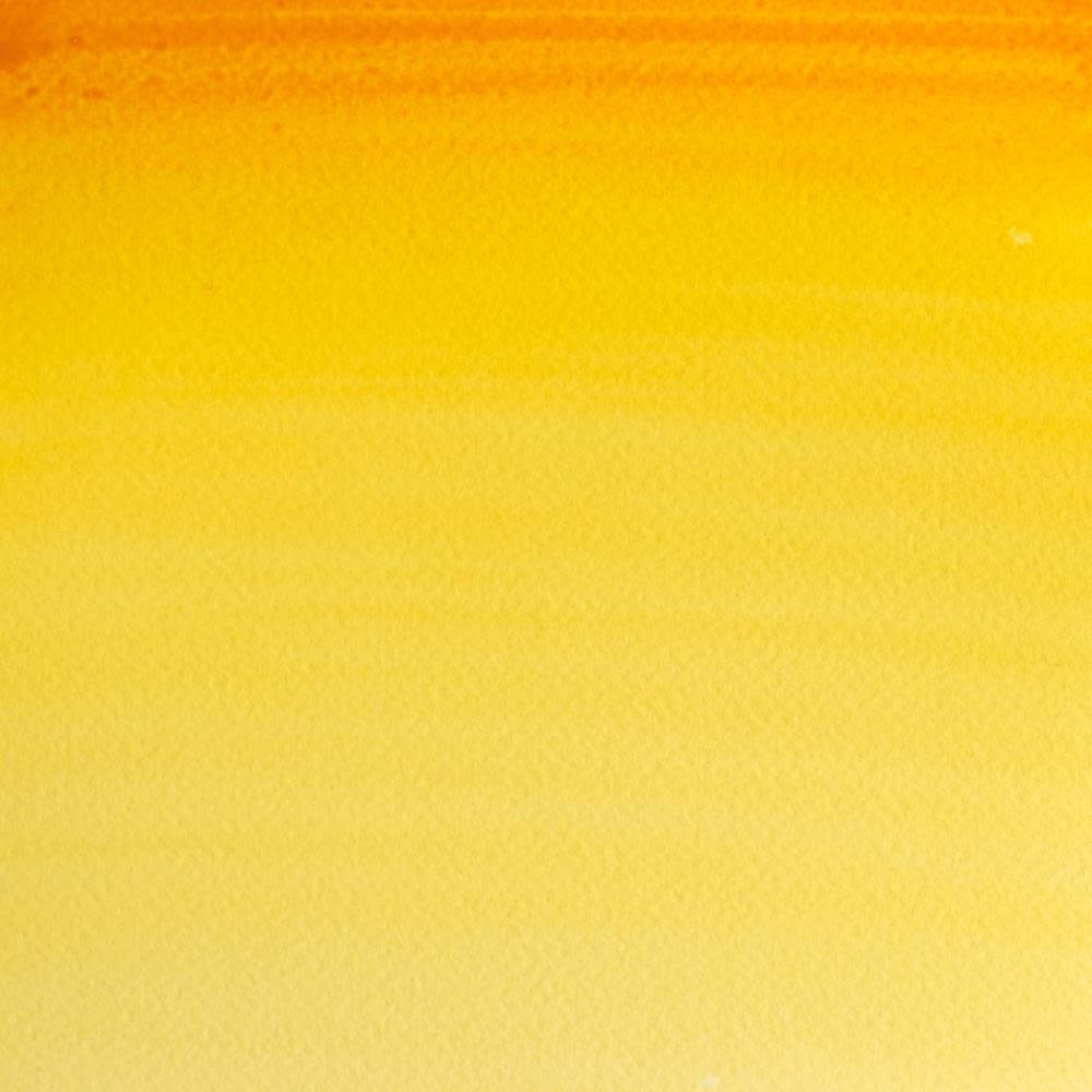 WINSOR & NEWTON Professional Aquarelle 1/2 Godet 267 Gomme Gutte