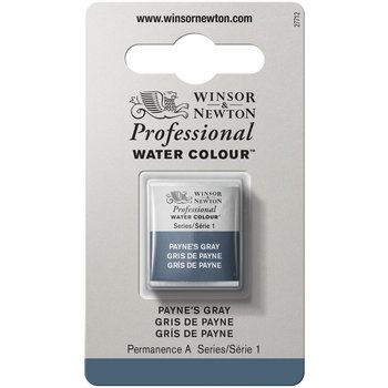 WINSOR & NEWTON Pro Watercolour 1/2G 465 Gris De Payne