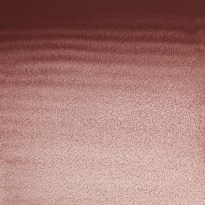 WINSOR & NEWTON Professional Aquarelle 1/2 Godet 125 Conte A Parisut Mortuum Violet