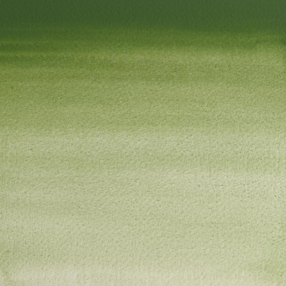 WINSOR & NEWTON Professional Aquarelle 1/2 Godet 459 Oxyde de Chrome