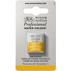 WINSOR & NEWTON Professional Aquarelle 1/2 Godet 552 Terre de Sienne Naturelle