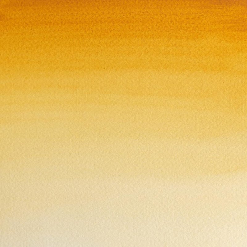 WINSOR & NEWTON Professional Aquarelle 1/2 Godet 552 Terre de Sienne Naturelle