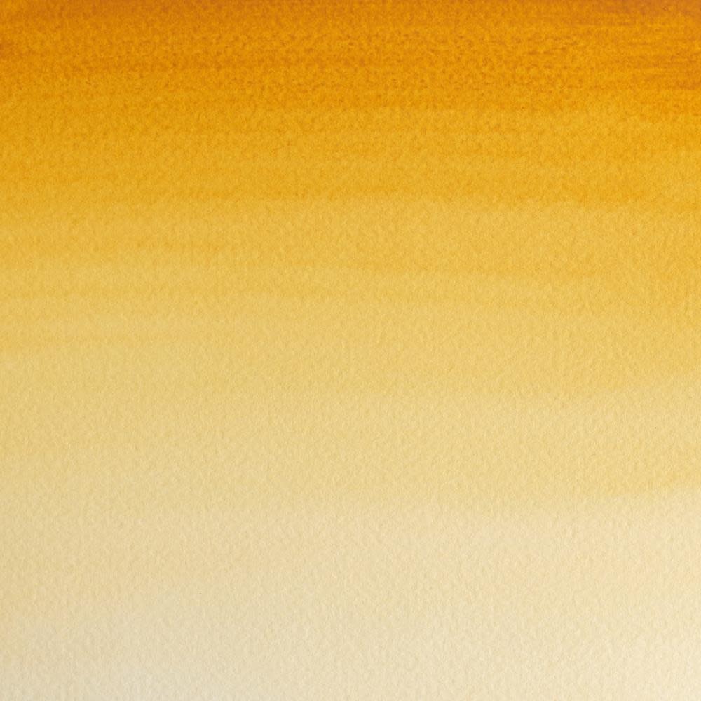 WINSOR & NEWTON Professional Aquarelle 1/2 Godet 552 Terre de Sienne Naturelle