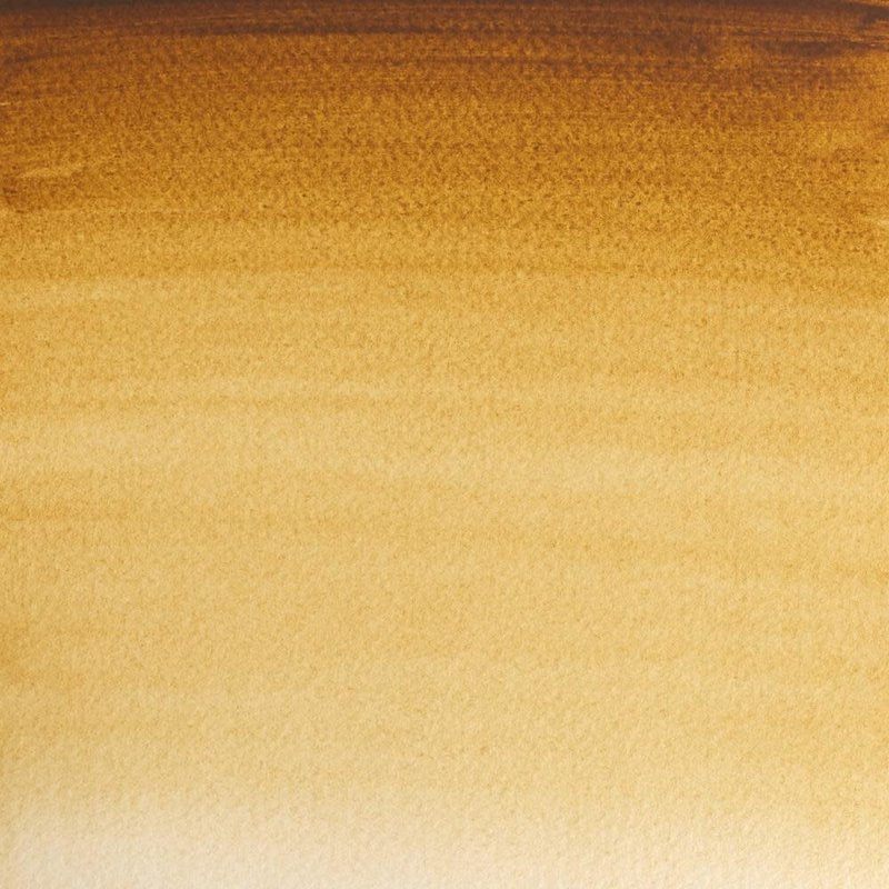WINSOR & NEWTON Professional Aquarelle 1/2 Godet 554 Terre d'Ombre Naturelle