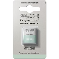 WINSOR & NEWTON Pro Watercolour 1/2G 637 Terre Verte