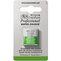 WINSOR & NEWTON Professional Aquarelle 1/2 Godet 503 Vert Vessie Permanent