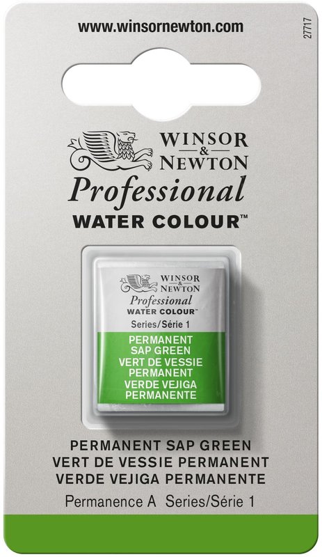 WINSOR & NEWTON Professional Aquarelle 1/2 Godet 503 Vert Vessie Permanent