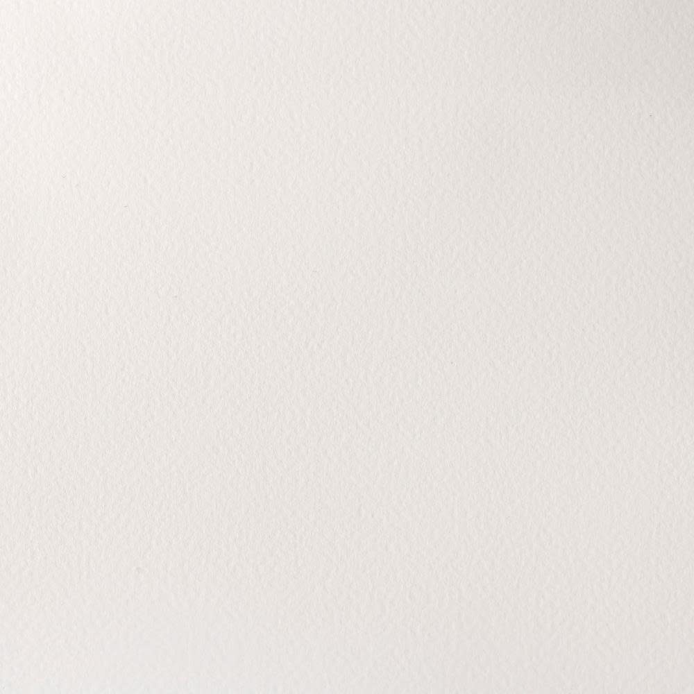 WINSOR & NEWTON Professional Aquarelle 1/2 Godet 644 Blanc De Titane