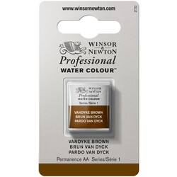 WINSOR & NEWTON Professional Aquarelle 1/2 Godet 676 Brun Van Dyck