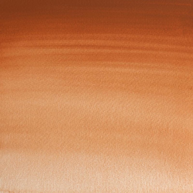 WINSOR & NEWTON Professional Aquarelle 1/2 Godet 381 Brun Magnésium