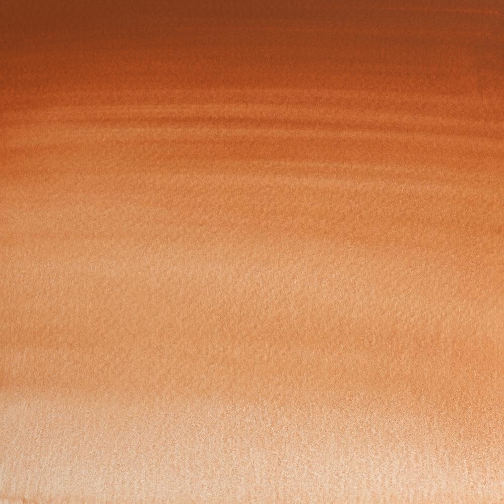 WINSOR & NEWTON Professional Aquarelle 1/2 Godet 381 Brun Magnésium