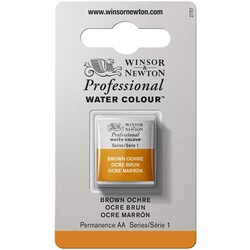 WINSOR & NEWTON Professional Aquarelle 1/2 Godet 059 Ocre Brun