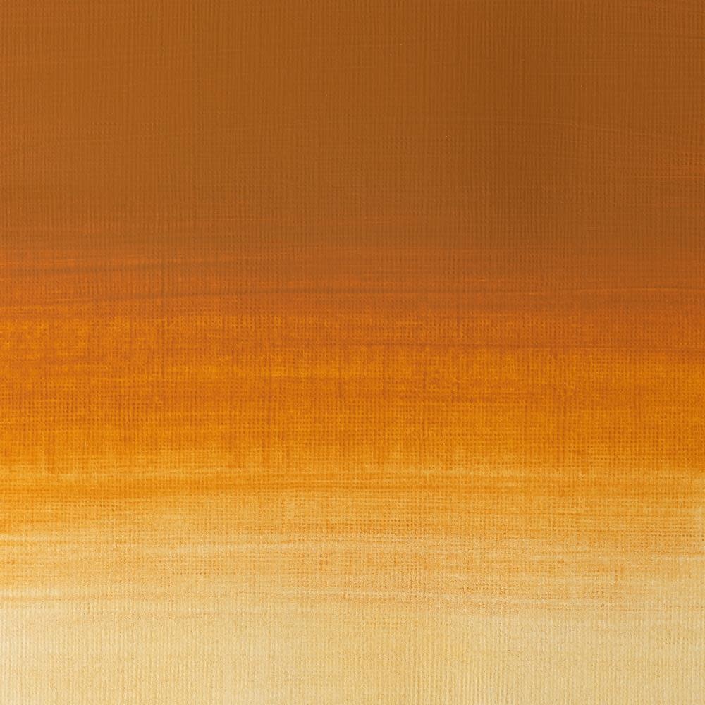 WINSOR & NEWTON Professional Aquarelle tube 5ml 285 Ocre d'or