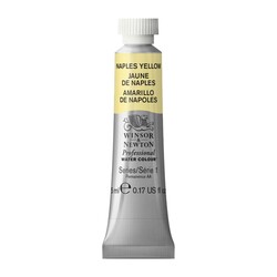 WINSOR & NEWTON Pro Watercolour 5Ml 422 Jaune De Naples