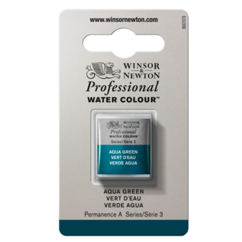 WINSOR & NEWTON Professional Aquarelle 1/2 Godet 697 Vert d'eau