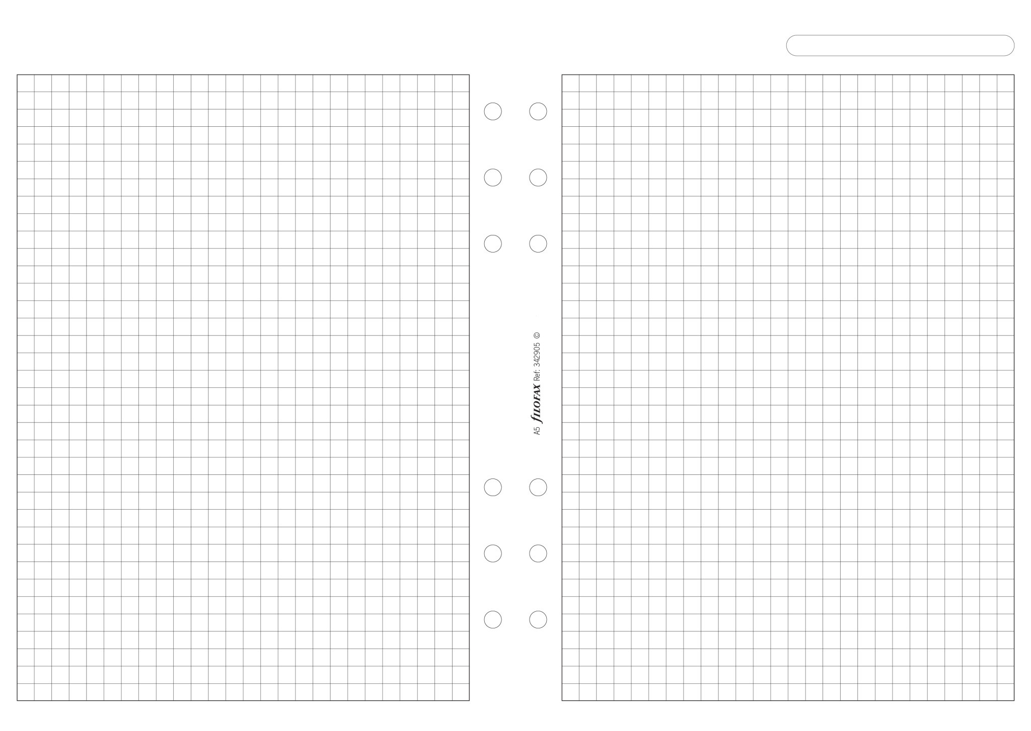 FILOFAX Feuilles de notes quadrillées  A5
