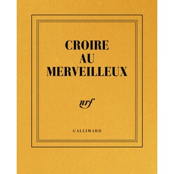 GALLIMARD Carnet poche couleur - Croire au merveilleux