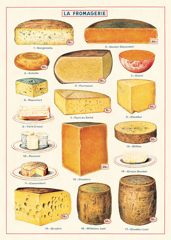 CAVALLINI & Co. Vintage Cheese Poster 50x70cm