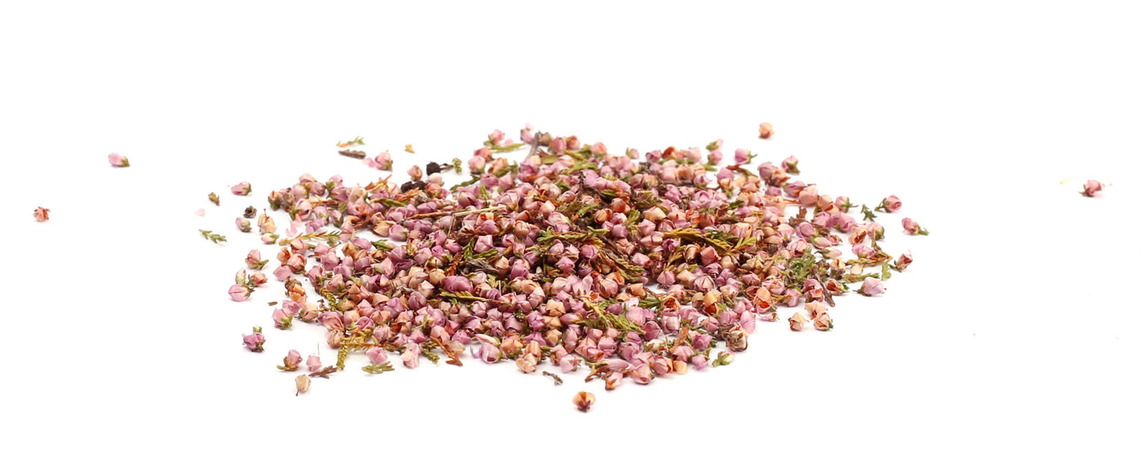 GRAINE CREATIVE Sachet 10G Fleurs Sechées Déco Bruyère