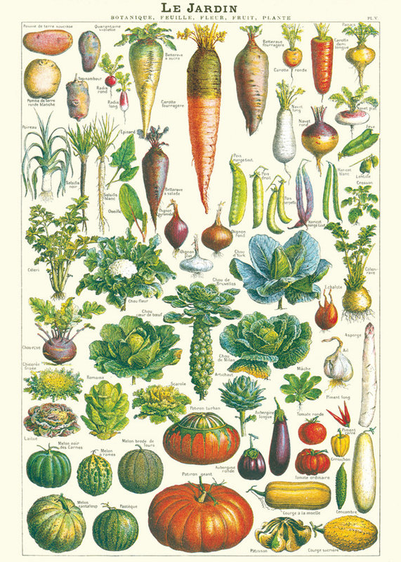 CAVALLINI & Co. Poster 50x70cm Vintage Garden