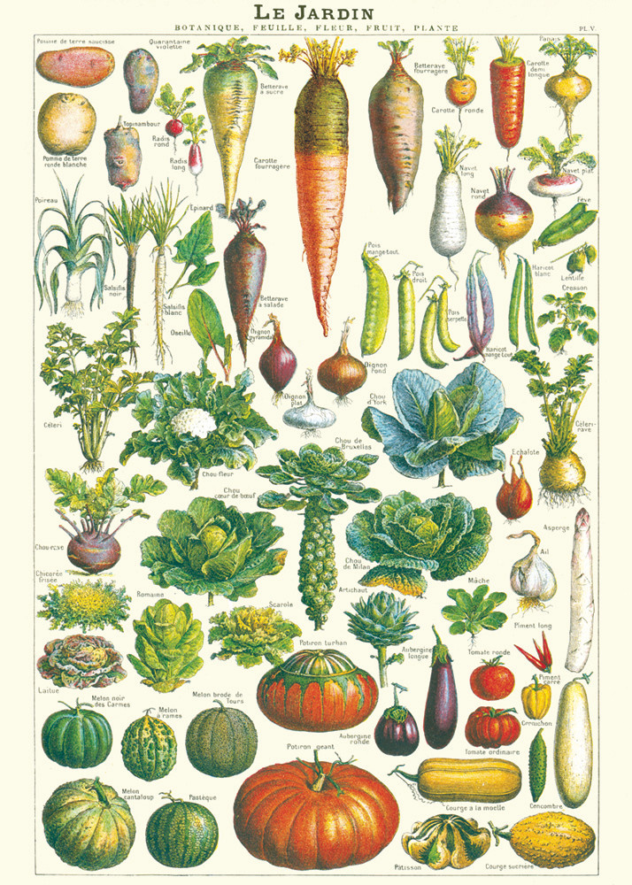 CAVALLINI & Co. Affiche Jardin 50x70cm