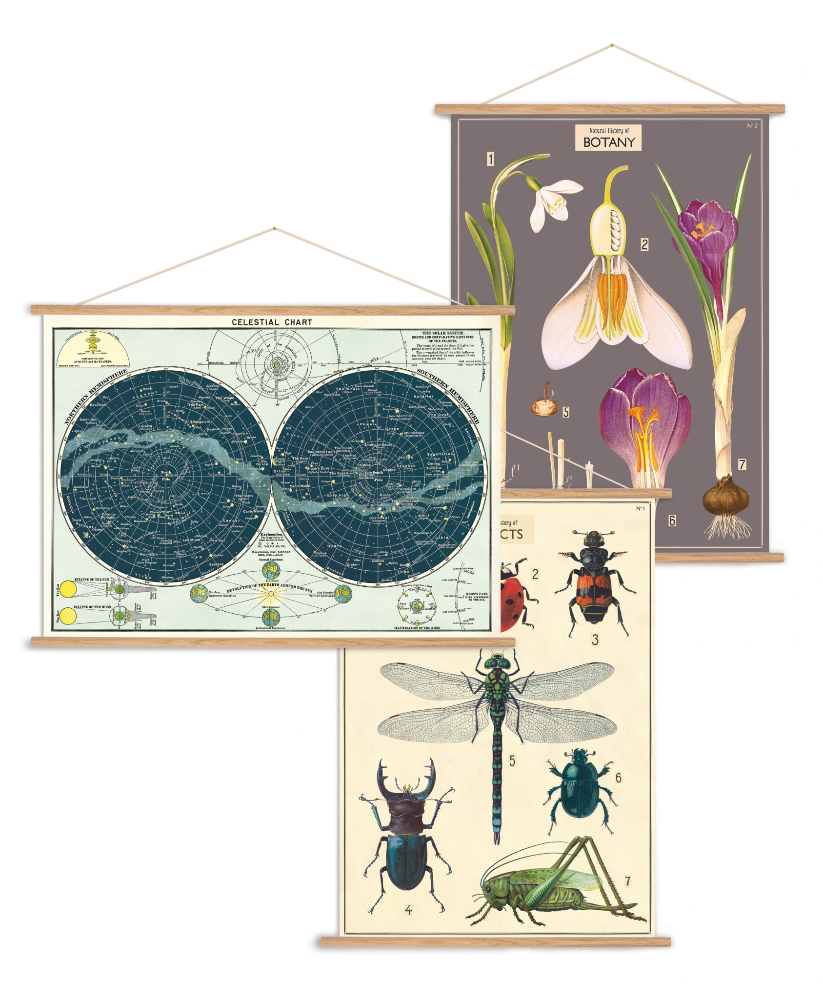 CAVALLINI & Co. Kit À Poster Vintage Vertical