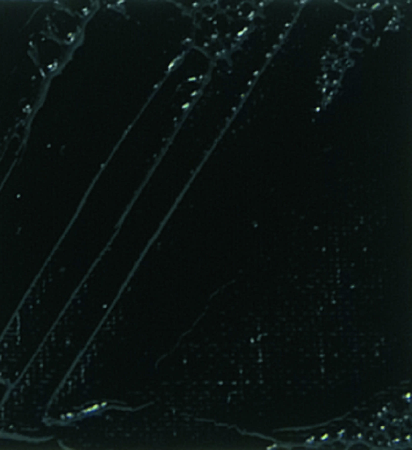 PEBEO Huile Fine Xl 200 Ml Noir Ivoire Imitation