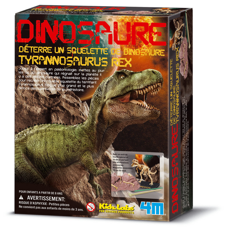 GRAINE CREATIVE Kit Dam Tyrannosaurus Rex 220X170