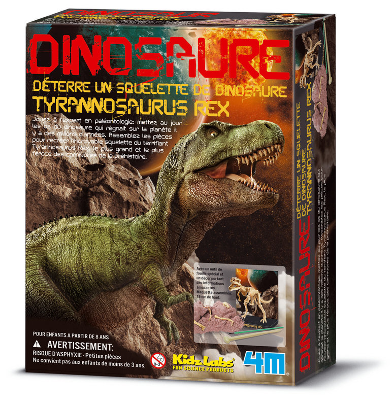 GRAINE CREATIVE Kit Dam Tyrannosaurus Rex 220x170