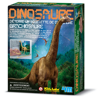 GRAINE CREATIVE Kit Dam Brachiosaure 220X170