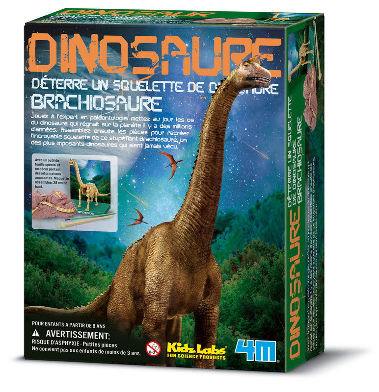 GRAINE CREATIVE Kit Dam Brachiosaure 220X170