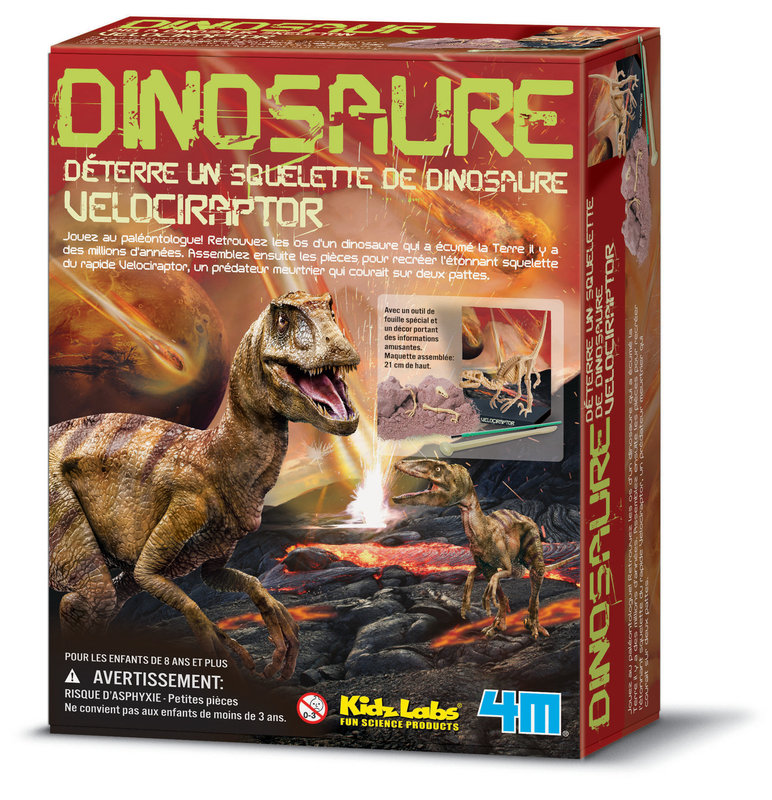 GRAINE CREATIVE Kit Dam Deterre-Ton-Dinosaure Velociraptor