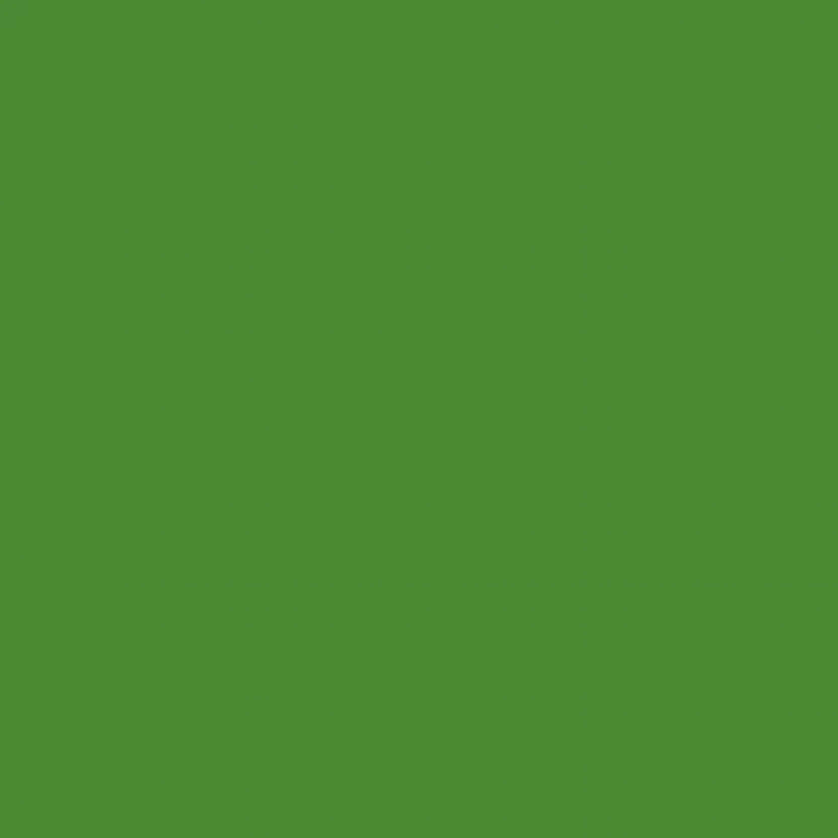 PEBEO Decospray Mat 200 Ml Vert Lumiere