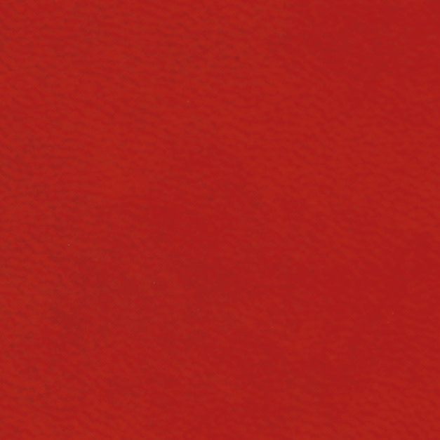 EXACOMPTA Carnet d'adresses Winner 8,6 x 15,8 cm - Couleurs assorties