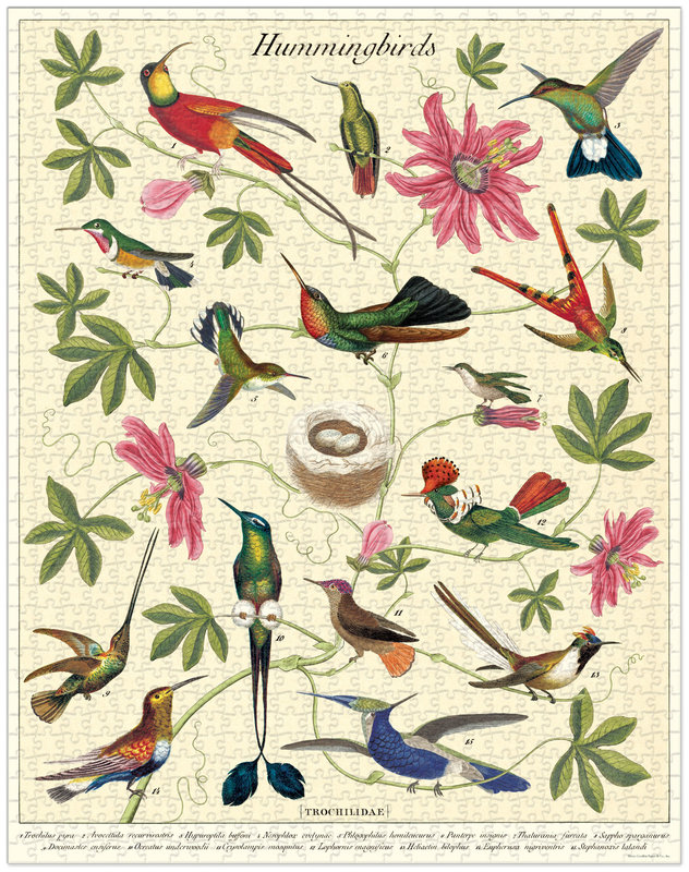 CAVALLINI & Co. Puzzle 1000 pieces 55x70cm hummingbirds
