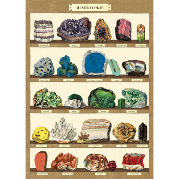 CAVALLINI & Co. Poster 50x70cm Vintage minerals 2