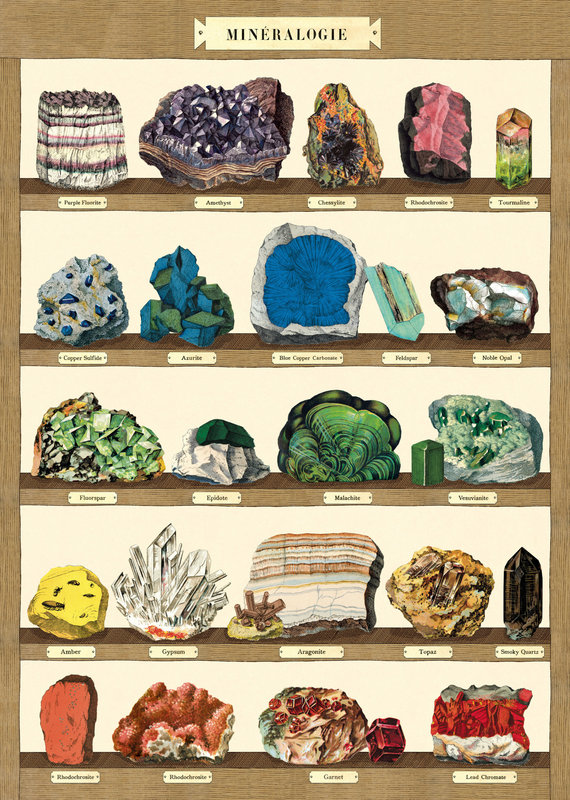 CAVALLINI & Co. Poster 50x70cm Vintage minerals 2