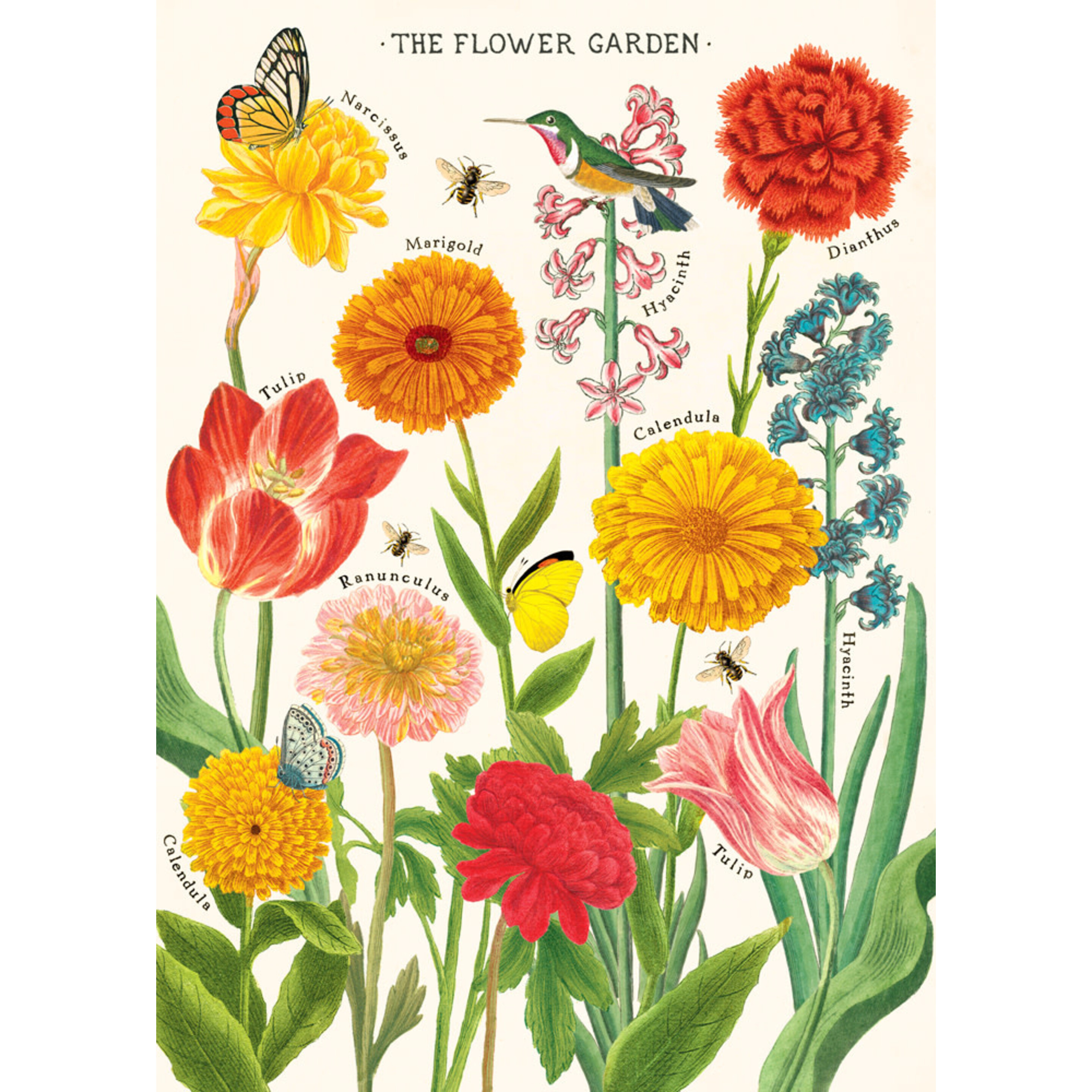 Poster / inpakpapier Natural History Butterflies & Insects - Cavallini