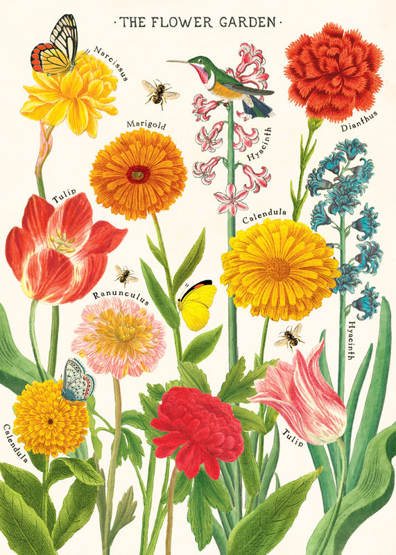 CAVALLINI & Co. Poster - Affiche Cavallini Jardin De Fleurs 50x70cm