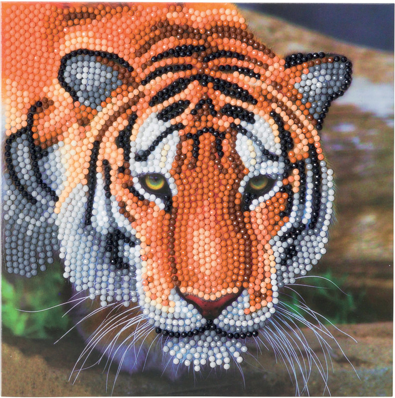 OZ CRYSTAL ART Kit carte broderie diamant 18x18cm Tigre