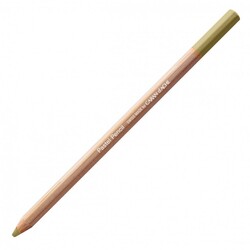 CARAN D'ACHE Pastel Pencil - Olive brunâtre 50%