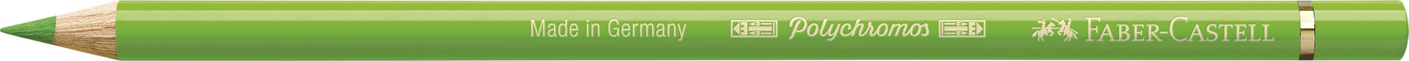 FABER CASTELL Crayon de couleur Polychromos 166, vert herbe