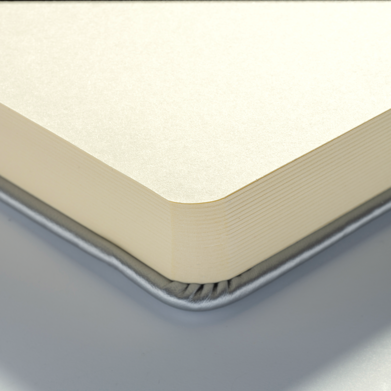 TALENSARTCREATION Cahier de Croquis Argent Brillant 21 x 14.8 cm 140 g 80 Feuilles
