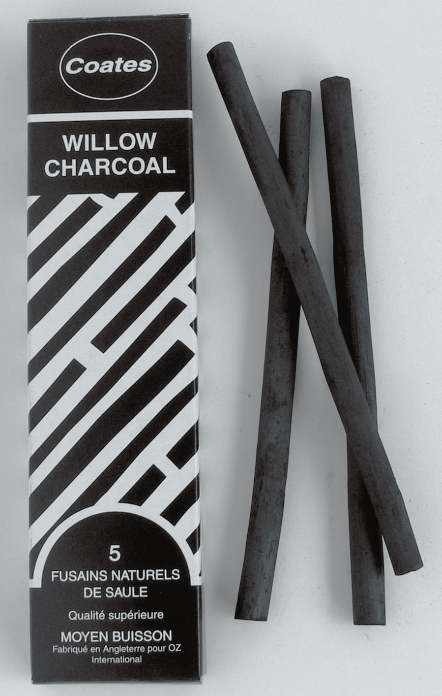 OZ Fusains x 5 - Moyen buisson Ø 8 mm