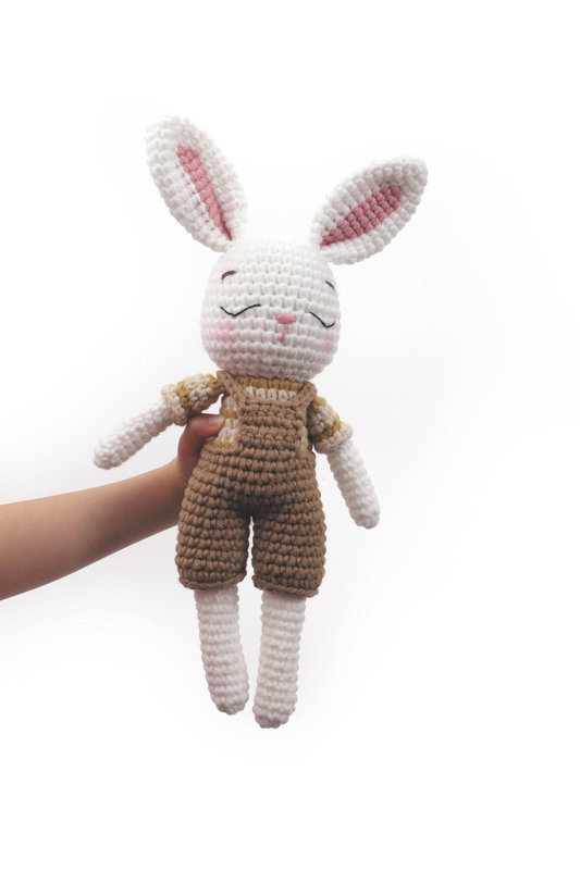 GRAINE CREATIVE Kit mon ami Gurumi Lapin 140 x 340 x 140 mm