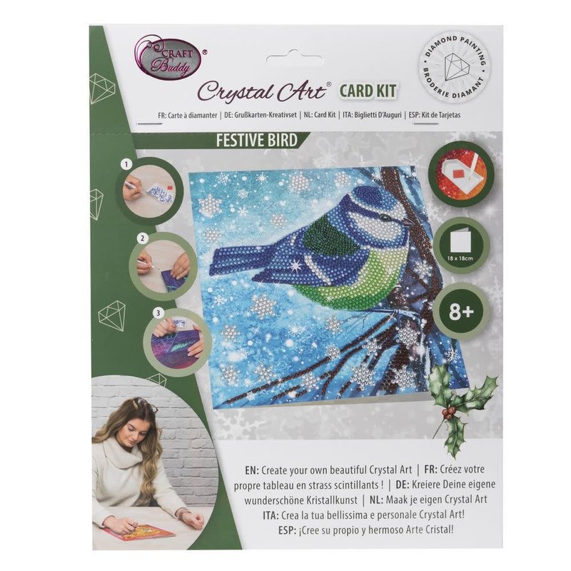 CRYSTAL ART Kit carte broderie diamant 18x18cm Mésange en hiver